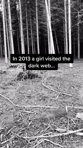 Exploring a Dark Web Horror Story