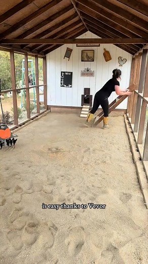 part2 Tilling the sand in my chicken coop! 🐓⏳✨ #chickencoop #maintenance #chickensoftiktok #chickens #sand #farmlife | Simply Chickens
