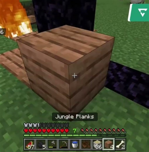 Day 3 of walking 1,000,000 blocks and I set a tree on fire 🔥🤦‍♂️🤦‍♂️🤦‍♂️