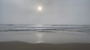 10K views · 1.1K reactions | Good Morning from OBX Sunrise At Pea Island National Wildlife Refuge June 3, 2023 63 degrees. 7:35 am | OBX Sunrise | Facebook