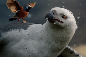 Allianz Australia Launches New Campaign ‘Care You Can Count On’ Via Howatson Company