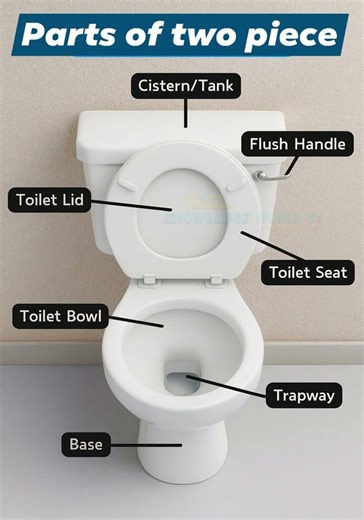 Basic Knowledge for Civil Engineering | Parts of two Piece | #shorts #building
