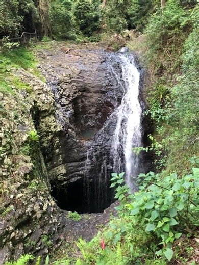 Natural Bridge | Springbrook National Park QLD 🌿💦