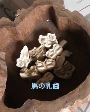 馬好きの独特過ぎるコレクション。やぁ～、はっ。