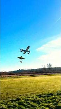 Multiplex FunnyCub 🛩️ AKA "The Dodo" 😉😆🎮🛩️