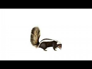 skunk second season 2 episode 4