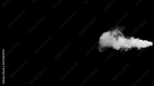 Abstract white smoke animation on a black background. Smoke, steam, explosion, fire, puff, steady vapors. Realistic smoke cloud from up and button with floating fog. Best for using in composition.
