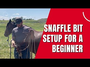 Snaffle Bit Setup For A Beginner - The First Bit I Ever Bought!