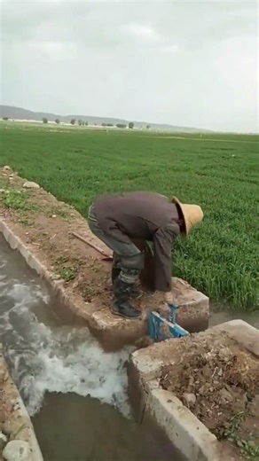 水田の土壌圧縮作業工程