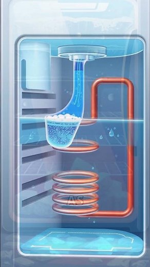 How Does Your Refrigerator Really Work? The Cooling Science