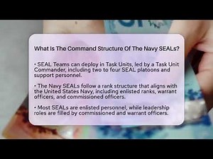 What Is The Command Structure Of The Navy SEALs? - International Policy Zone