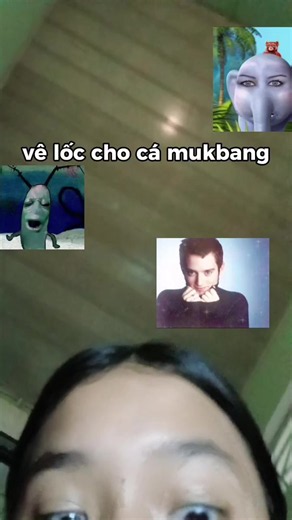 mukbang #ÁnhBu #cá #betta #bettafish #thucanchoca