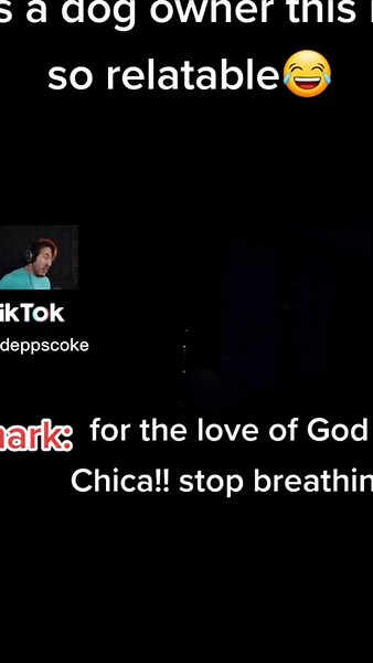 this is so funny😂😂 #markipiler #markiplierchica #markiplieraudio #markimoo #markiplieredit #markiplierdogs #foryoupage #dogsoftiktok #fypシ #foryou #fyp #funnyvideos #markipliergaming #markipliervideo