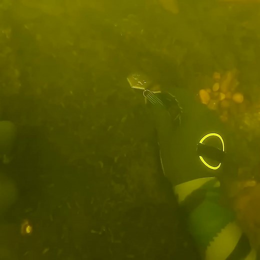 1.8M views · 32K reactions | I found 3 military badges  | D ALL MY D | Facebook