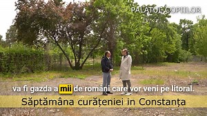 131K views · 1K reactions | Orașul nostru se confruntă cu o problemă...
