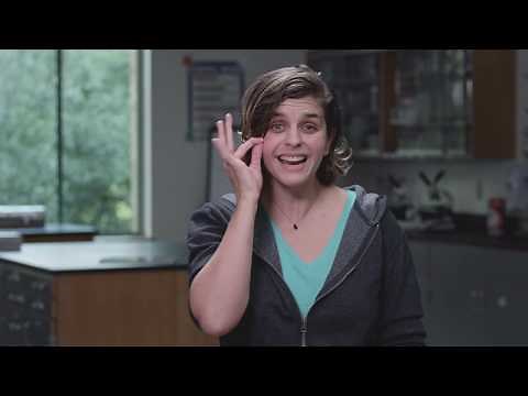 SignGlasses - Sign Language Interpretation and Captioning in the Classroom