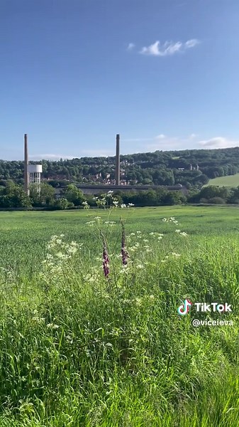 Sheffield Nature UK 🇬🇧 Street | Sheffield Summer in City 🌿🌹 #sheffieldissuper #sheffieldissuperinsta #sheffieldissupertiktok #sheffield #England #uklife #travel #digitalnomad #digitalnomadlifestyle #UnitedKingdom #uk #travelvlog #vlog #travelengland #travelvlogger #travelblogger #vlogs #expat #expatlife #exploringvlog #europetravel #europeliving #Walkingaround #bestplaces #bestplacestovisitineurope #top5 #top5places #foryou #fyp #vilniusgirl #viralvideo #viral #letzebuerg #Luxembourg #inluxe