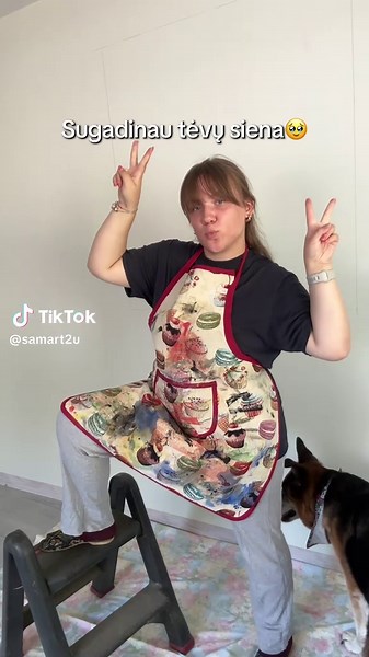 Meninė sienos erdvė: kūrybiškumo išraiška