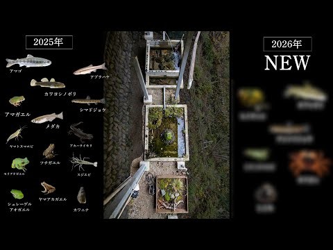 ついにあいつが!? ビオトープにどんな生き物がいるか調査します！