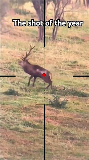 Deer Shooting 🦌