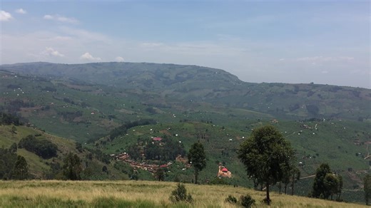 Discover the Beauty and Culture of Ankole, Uganda