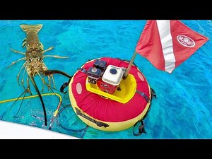 Hookah Diving For Lobster | South Florida (Coral Reef)