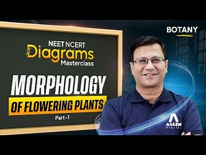 Botany: MORPHOLOGY OF FLOWERING PLANTS Part-1 | NEET 2026 | NCERT Diagrams Masterclass