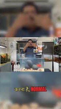 Goldfish को 20 साल कैसे जिन्दा रखें? Tank Maintenance!