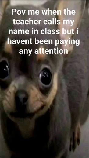 real #subscribe #funny #memes