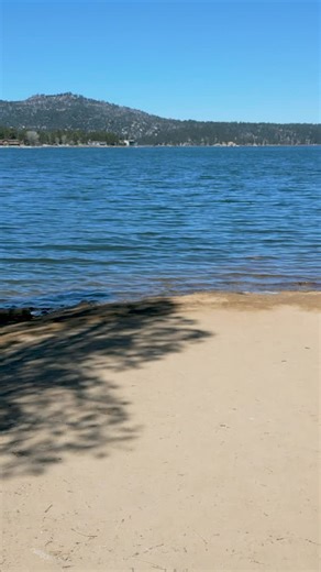 121 reactions | ‍♂️ This week on Squatch Talk: ☀️...