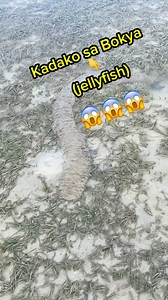 25K views · 103 reactions | Suwabay sa dagat (jellyfish) #fypシ゚viralシ #fbreels #comedy #goodvibes #trendingreels #followers #mumjassy | Mum Jassy | Facebook