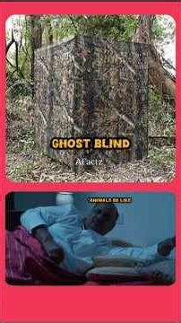 మీకు ghost blind అంటే ఏంటి తెలుసా 😯😱 | cameramans ఇదే ఉపయోగిస్తారు