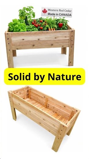 Stop Buying Cheap Planters — Try This Instead (Cedar Planter with Legs)