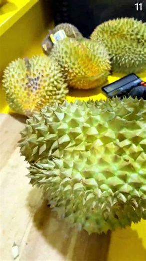Teknik cerdas dalam membelah durian montong dengan pisau mini super tajam #shorts