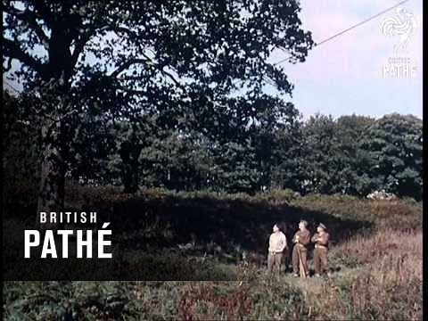 Junior Leaders (1959)