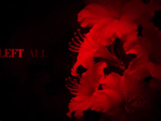 collide >>> #ncslyricsss #lyrics #fyp | collide