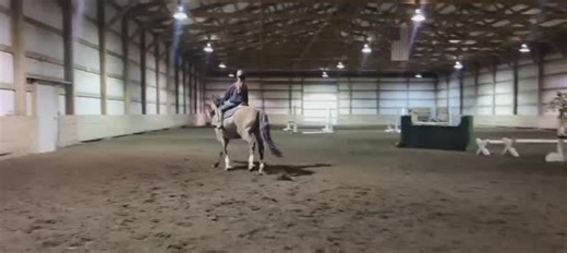 With a request from one of our fans Lily Make sure to follow us @horseloversfails for more fails No hate tolerated!! #horselovers #horsefails #horsefail #horseridingfail #horseridingfails #horses #horseofinstagram #jumping #horsejumping | HorseLovers Fails