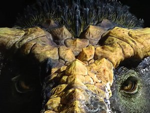 126 reactions · 27 shares | For you, there’s still time. For her prey, not so much.  See the world’s largest REAL T. rex skeleton. Now on display. Final Days. Closing January 3, 2021. Don't Miss Out. | Arizona Science Center | Facebook