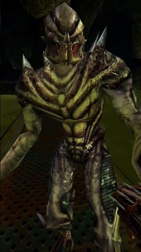 Netgun on Predalien Off the Bridge