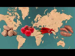 CBSE Class 10 History - 4 | The Making of a Global World | Full Chapter | NCERT Animation