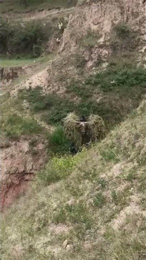 Narrow Cliff Path: A Thrilling Escape Through Nature's Hands
