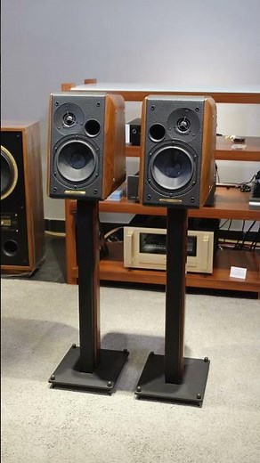 Meravigliose Sonus faber Concerto #audiocostruzioni #hifiaudio #viralvideo