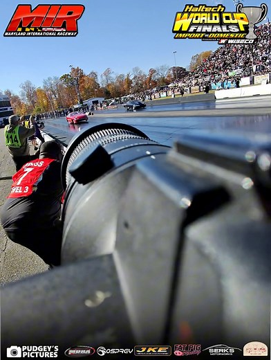 9.2K views · 289 reactions | Spend the day with me at WCF!  | Pudgey's Pictures | Facebook