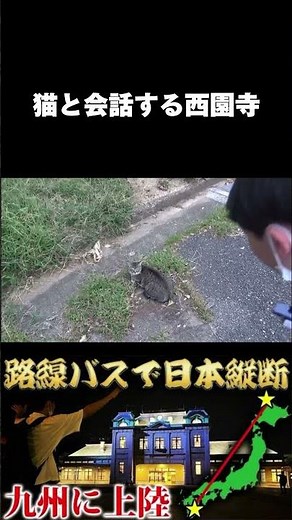 【西園寺名場面】猫と会話する西園寺