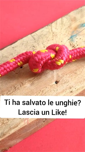 Tap the KNOT with a hammer and watch! 🛠️😱