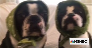 A pet-lovers business that’s stuffed with success