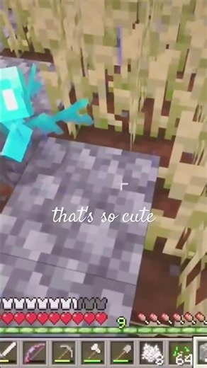 I Found a Shy Allay While Farming 🥹 | Minecraft