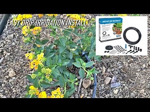Dig Landscape Drip Irrigation Kit Front Yard Install