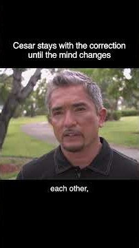 Cesar Playing Mind Games