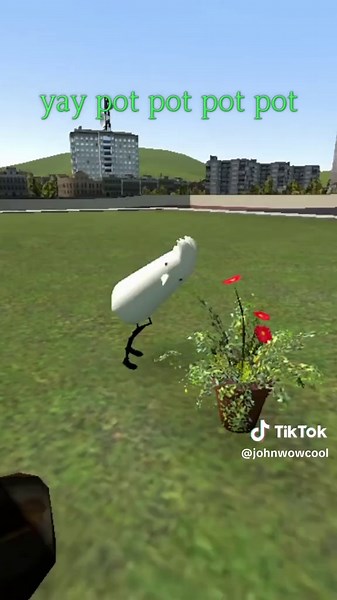 Silly Birds Rolling in the Grass and Pot Discoveries
